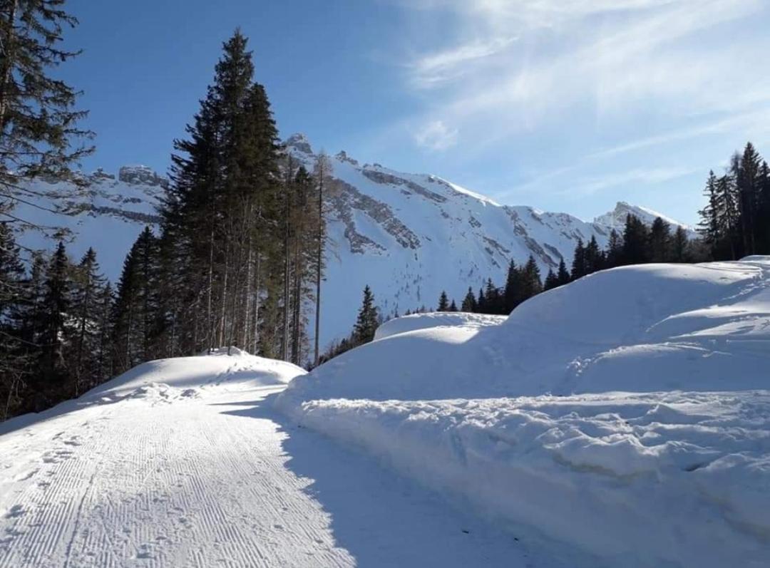 씨비아나 Il Terrazzo Sulle Dolomiti 아파트 외부 사진