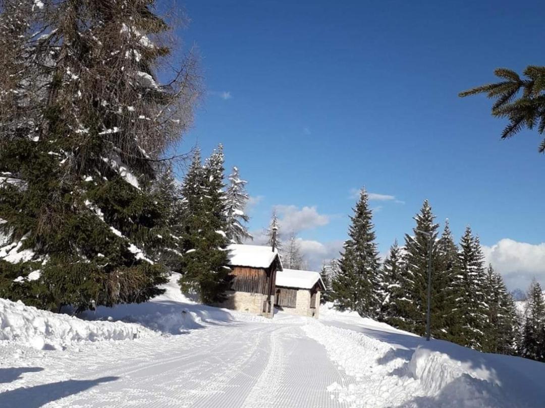 씨비아나 Il Terrazzo Sulle Dolomiti 아파트 외부 사진